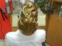 /album/kepgaleria-/dsc00245-jpg/